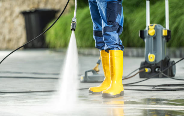 Best Best Pressure Washing Companies  in Petersburg, MI