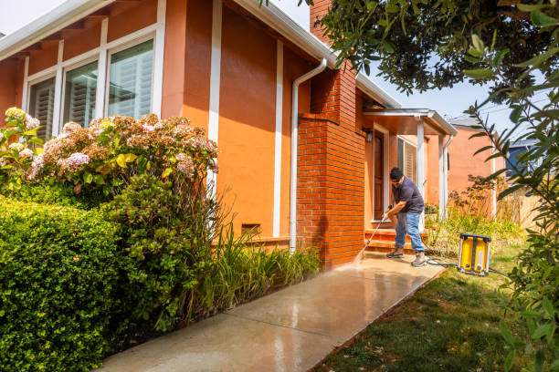 Best Roof Pressure Washing  in Petersburg, MI