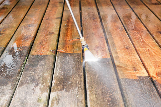Best Best Pressure Washing Companies  in Petersburg, MI