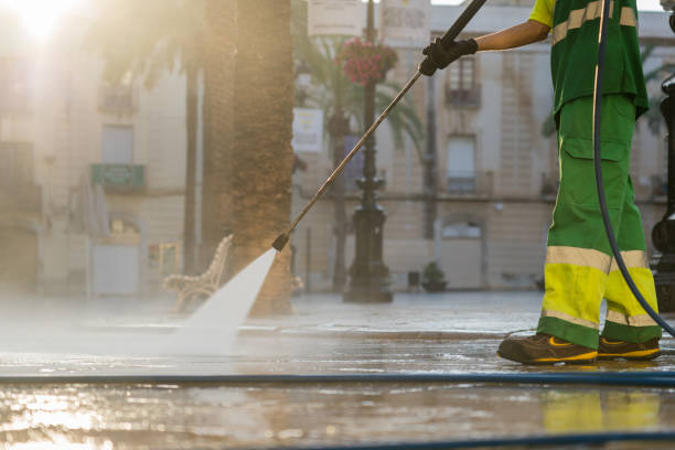 Best Sidewalk Pressure Washing  in Petersburg, MI