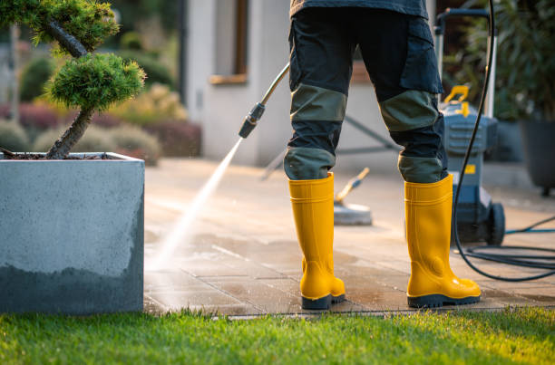 Best Power Washing Near Me  in Petersburg, MI
